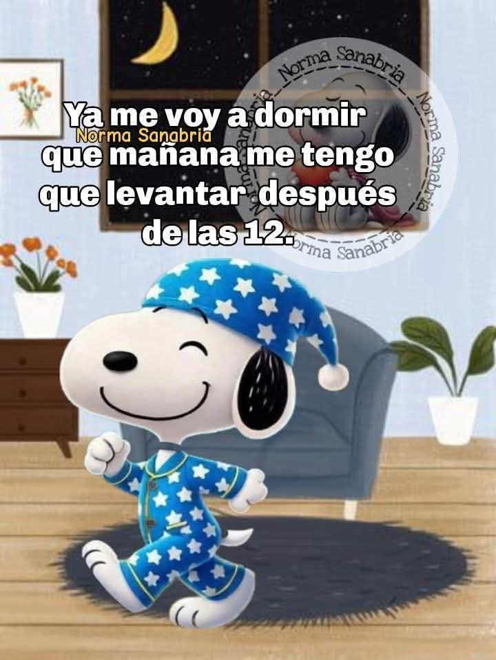 La despeinada parte dos 