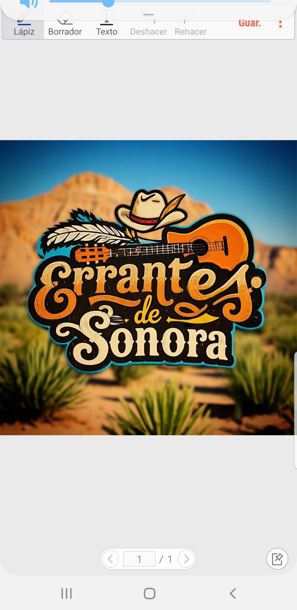 Errantes de sonora en vivo